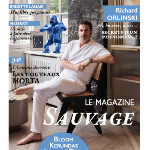 BE INSIDE DISTRIBUTEUR