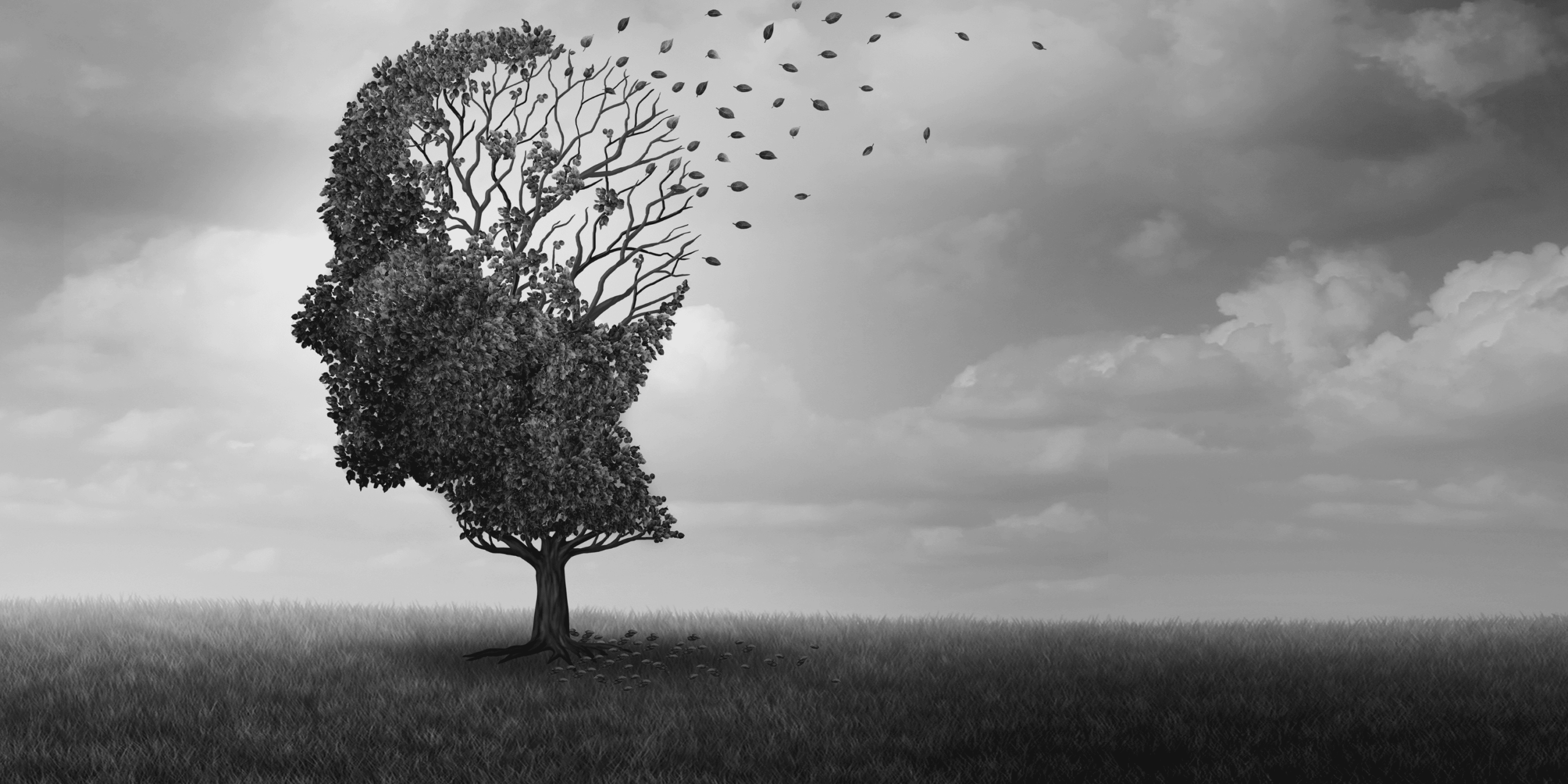 Alzheimer : près d’un Français sur deux se sent concerné, mais la maladie reste mal comprise