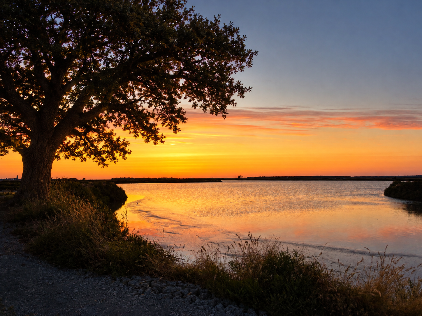 Guérande | À vos appareils pour le 2ᵉ concours photo autour de l’arbre