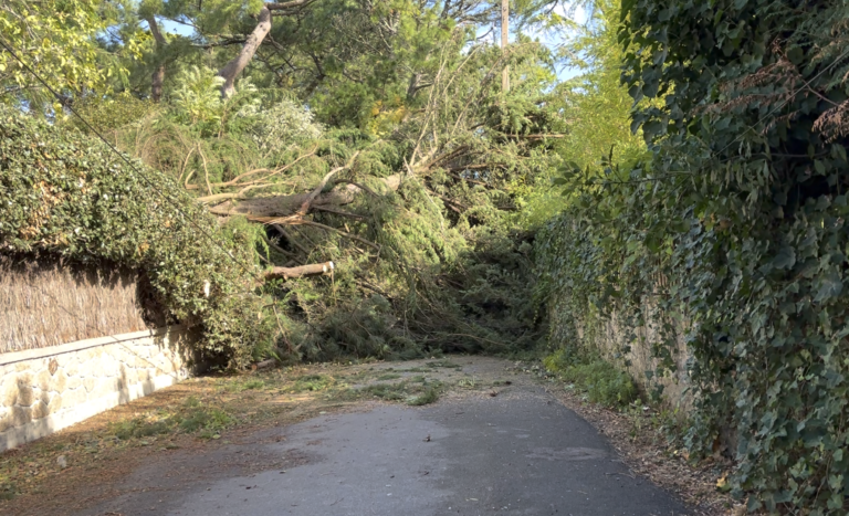 Tempête Austen | La Baule balayée par des rafales de vent spectaculaires